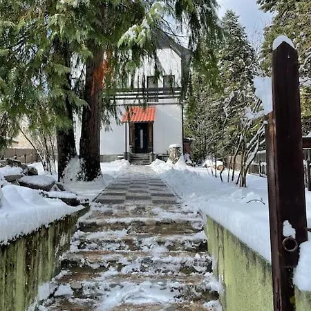 Wonderful Runedobroslav At Gma Il Com Up To 16 Villa Borovets
