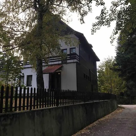 Wonderful Runedobroslav At Gma Il Com Up To 16 Villa