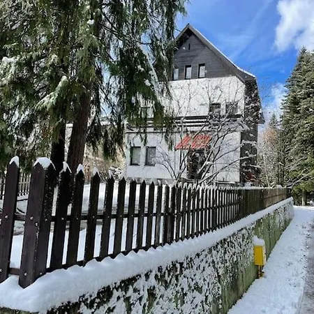 Wonderful Runedobroslav At Gma Il Com Up To 16 Villa Borovets